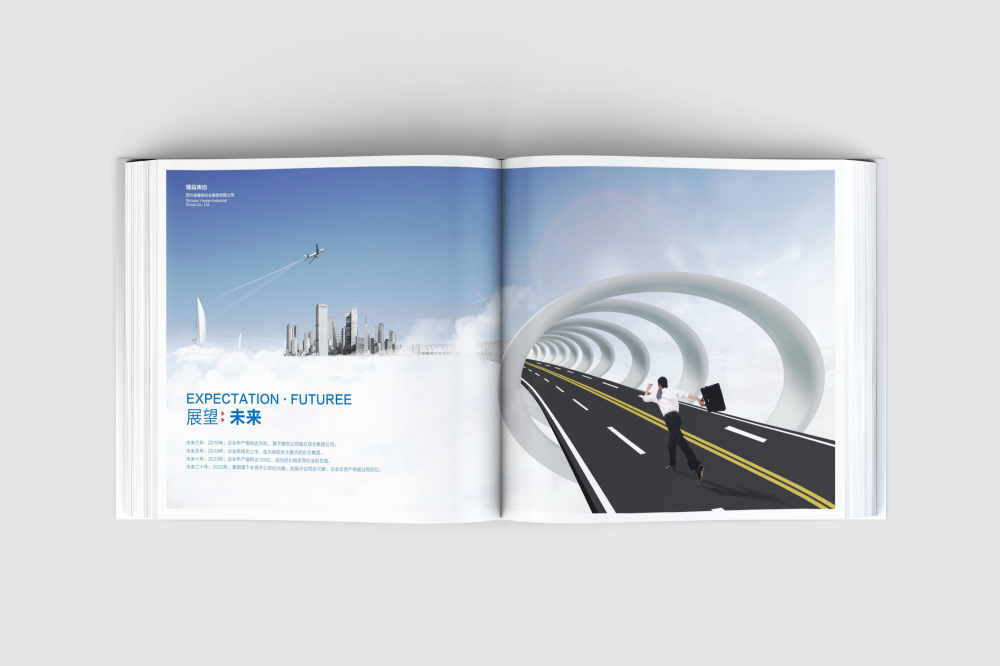 南川区画册设计